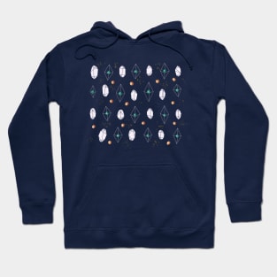 precious objects Hoodie